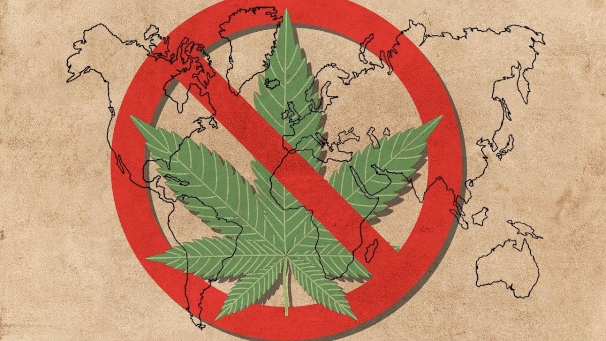 Breve historia de la prohibción de la marihuana