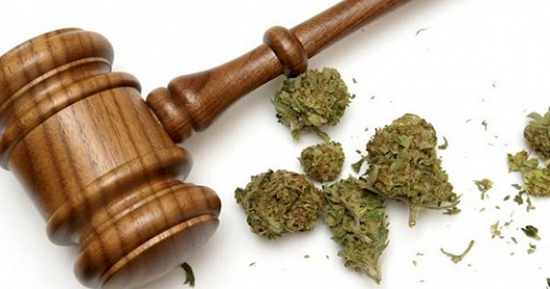 Nuestro Derecho al Cannabis