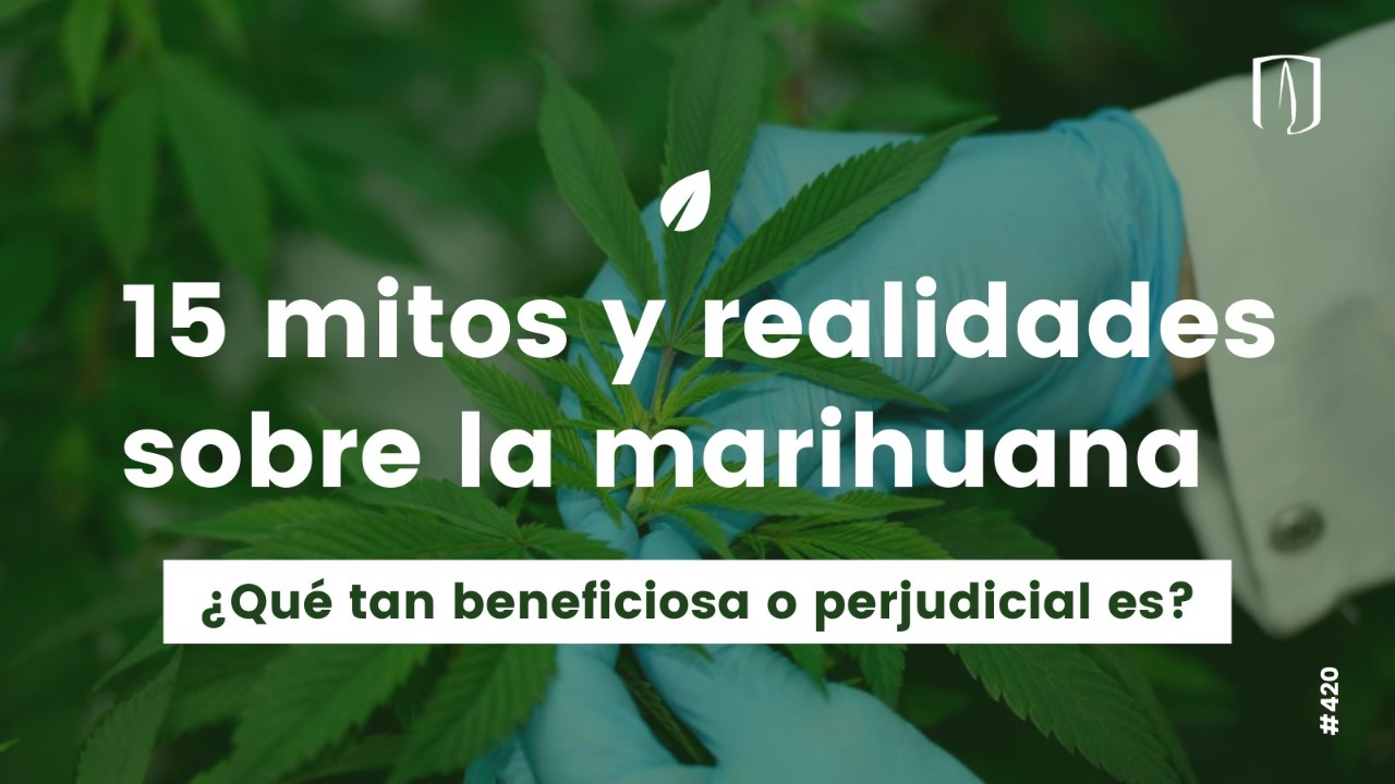 15 mitos y realidades de la marihuana medicinal