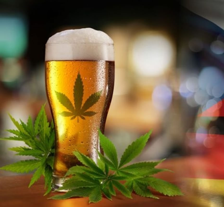 Cerveza de marihuana, la nueva apuesta del mercado